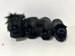 シャクレルブラック ぬいぐるみ ライオン・ブタセット