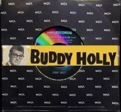 リンゴ様 リクエスト 2点 まとめ商品