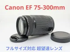 キャノンEF90-300mm 1:4.5-5.6✨超望遠レンズ✨運動会 野鳥 - メルカリ