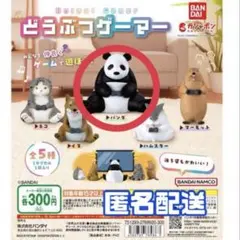 どうぶつゲーマー パンダ ガチャガチャ