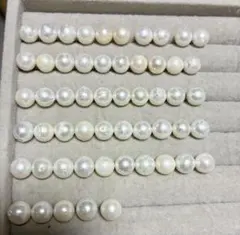あこや本真珠　55個