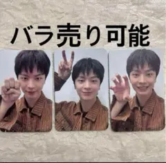 BTOB ソンジェ アルバム トレカ Fromm フロム 動物 じゃんけん 特典