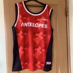 Item thumbnail for item 815174cd-1e13-4738-89ef-4439e302cb2c