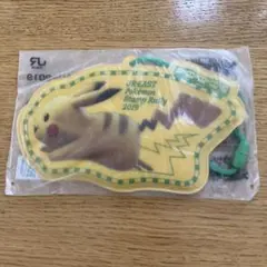 JR東日本 ポケモンスタンプラリー2019 ピカチュウ パスケース