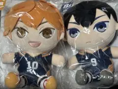 ハイキュー 日向翔陽 影山飛雄 ぬいもっち セット