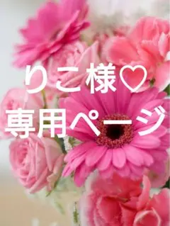 りこ様 リクエスト 2点 まとめ商品