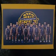 ブレックス バスケットボール