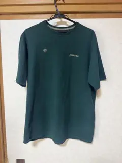 PATAGONIA ダークグリーン Tシャツ