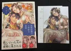 TLコミック 政略結婚のお世継ぎ事情 特典付き