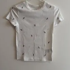 アメリカンイーグル　tシャツ　白　花刺繍