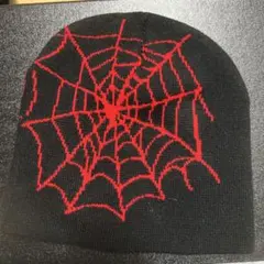 スパイダーネット ニット帽 GRDY VISIONS