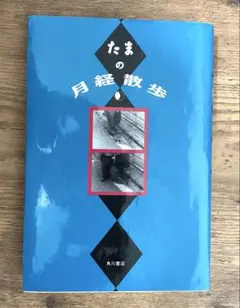 2025年最新】たま 写真集 きゃべつの人気アイテム - メルカリ