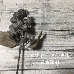 すず (*´ `*)♡さま　ご確認用です。