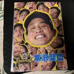 阪神タイガース　顔柄クリアファイル　木浪