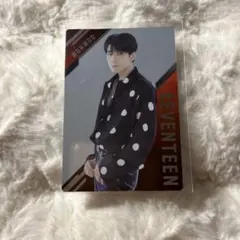 seventeen ウォヌ トレカ ウエハース