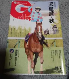 週刊ギャロップ 2024年10月27日 ドゥデュース 天皇賞秋　藤田菜七子