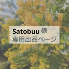 Satobuu様　専用出品