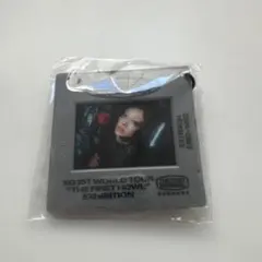 Item thumbnail for item 677fe72c-b2f7-4302-806c-8a4277bc6684