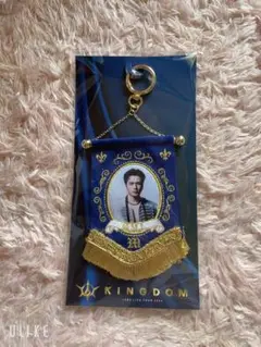 三代目 KINGDOMI ビジュアルミニタペストリー　登坂広臣