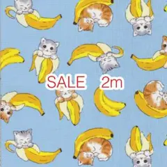 SALE 2m 猫とバナナ サックスブルー オックス