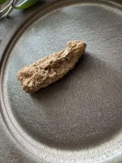 天の祈りを抱いたフルグライトの原石♡
