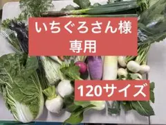 いちぐろさん様専用