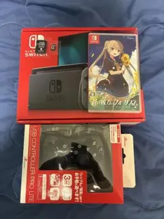 Nintendo Switch 本体 + USBコントローラー + ゲームソフト