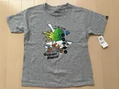 Quiksilverハワイ限定SHAVED ICE BOY Tシャツ 130cm