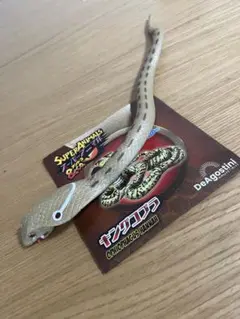キングコブラ スーパーアニマル アンドコ