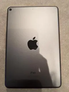 (美品)iPad スペースグレー 本体 ケース付き 256GB