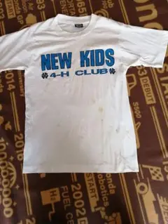SCREEN STARS BEST ボロ 白色 Tシャツ S シングルステッチ