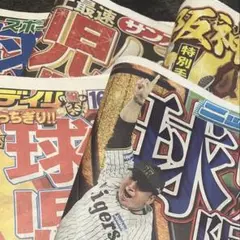 2025年　阪神タイガース優勝　スポーツ新聞５紙セット