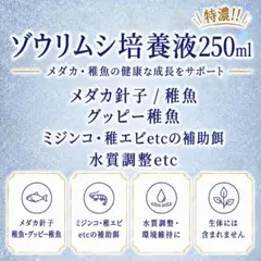 特濃 ゾウリムシ培養液 250ml 培養錠付き！のサムネイル