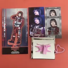長谷川慎 PRIMAL SPIDER BIGアクスタ&フォトカード2枚セット - メルカリ