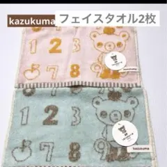 Item thumbnail for item 41b331cc-91ac-4abe-990c-2bfae6c508db