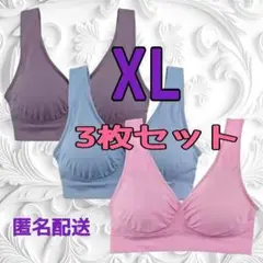 ジニエブラ XL サイズ 3枚セットピンク・ブルー・パープル