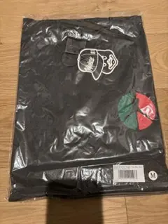 Item thumbnail for item 068f951f-9366-4745-8abe-45e58029ddc8