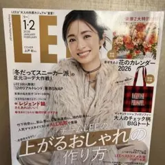 MACKINTOSH PHILOSOPHY 大人のチェック柄BIGトート