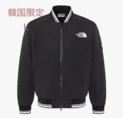 韓国限定 THE NORTH FACE オレマEX ボンバージャケット L