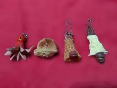 ウルトラクッキング4種セット