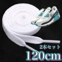 靴紐 白 120センチ スニーカー シューレース NIKE adidas
