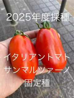 kyoko様 リクエスト 2点 まとめ商品