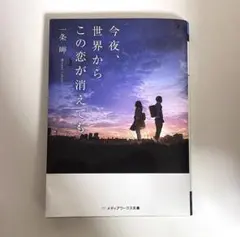 今夜、世界からこの恋が消えても 小説