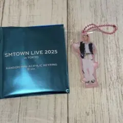 SMT 2025 アクリルキーホルダー WayV 威神 ヘンドリー