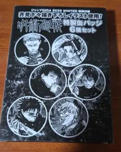 呪術廻戦 特製缶バッジ6種セット
