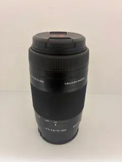2026年最新】α65 レンズの人気アイテム - メルカリ