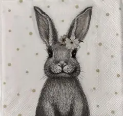 Item thumbnail for item 55cac853-c32d-40f5-b059-ff4b56d3c87a