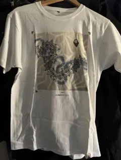 Item thumbnail for item 71269df7-5f50-4730-89d0-56153f75947d