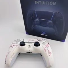 ジャンク品PS5 PC Void Vaming INTUTION SAKURA