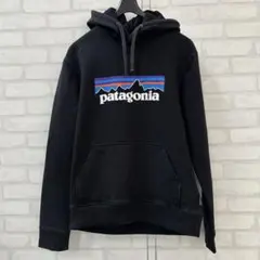 Patagonia パタゴニア テキストロゴ アップライザルフーディ M 黒